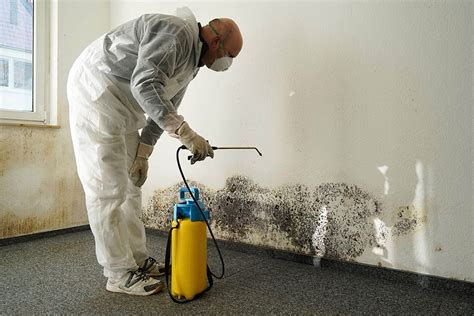 cleaning mud UAE|mold remediation dubai.